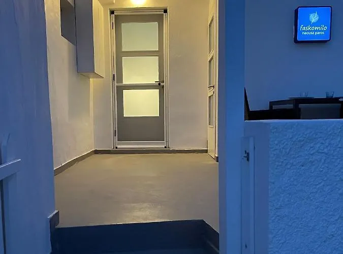 Faskomilo Paros 纳乌萨